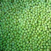 Manufacturers Exporters and Wholesale Suppliers of Green Peas Ahmedabad Gujarat